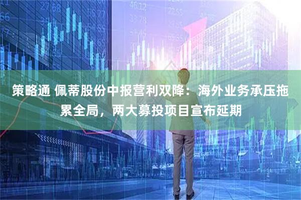 策略通 佩蒂股份中报营利双降：海外业务承压拖累全局，两大募投项目宣布延期
