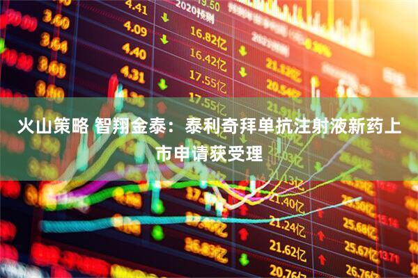 火山策略 智翔金泰：泰利奇拜单抗注射液新药上市申请获受理
