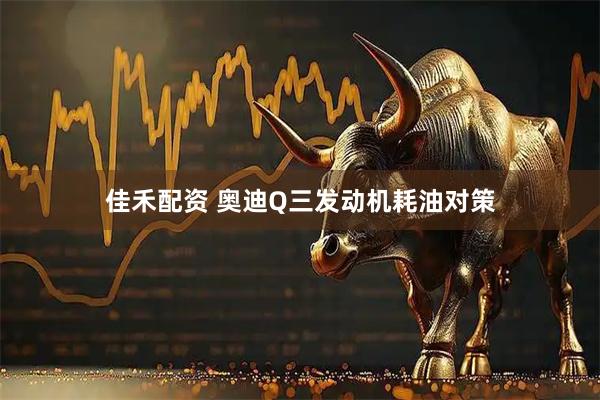 佳禾配资 奥迪Q三发动机耗油对策