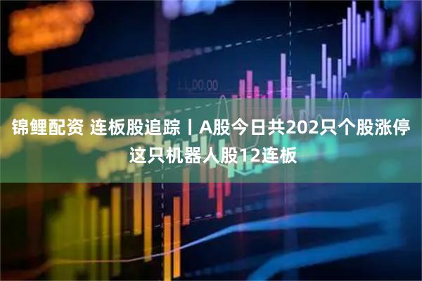 锦鲤配资 连板股追踪丨A股今日共202只个股涨停 这只机器人股12连板