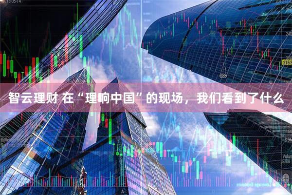 智云理财 在“理响中国”的现场，我们看到了什么